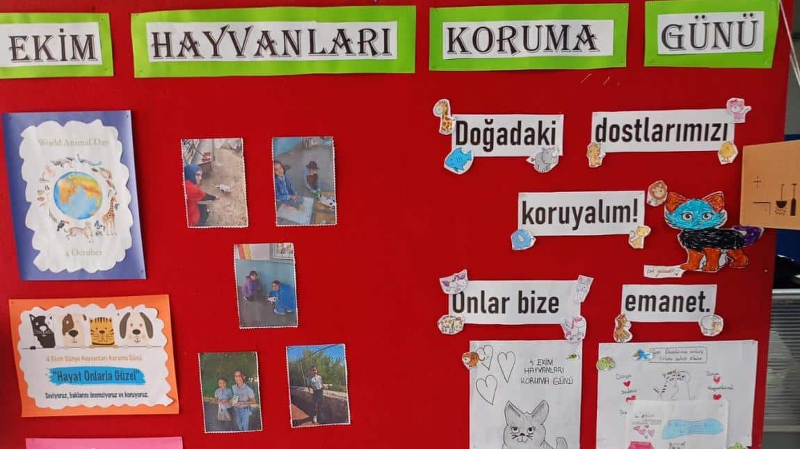 4 Ekim Hayvanları Koruma Gününü Kutladık